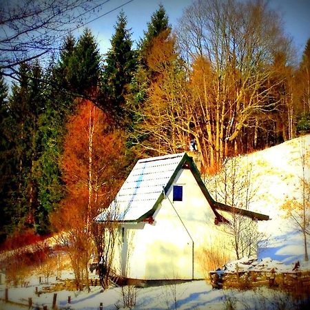Dziewiecsil-Domek W Gorach Duszniki Zdroj Luaran gambar