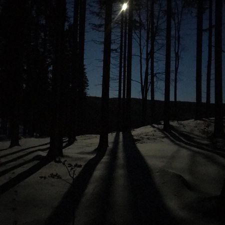 Dziewiecsil-Domek W Gorach Duszniki Zdroj Luaran gambar