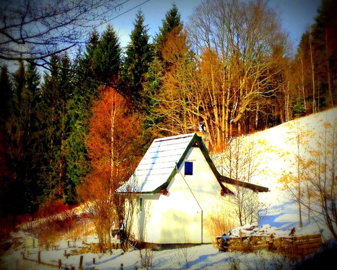 Dziewiecsil-Domek W Gorach Duszniki Zdroj Luaran gambar